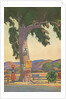 Roadside Eucalyptus, Signs by Anonymous