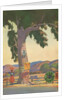 Roadside Eucalyptus, Signs by Anonymous
