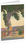 Roadside Eucalyptus, Signs by Anonymous