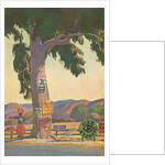 Roadside Eucalyptus, Signs by Anonymous