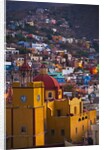 Basilica of Our Lady of Guanajuato by Anonymous