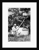 Senior man harvests apples, ca. 1926. by Anonymous