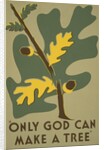 Only God Can Make a Tree, Oak by Anonymous