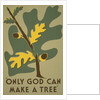 Only God Can Make a Tree, Oak by Anonymous