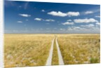 Kalahari Desert Track, Magadikgadi Pans National Park, Botswana by Anonymous