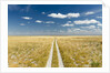 Kalahari Desert Track, Magadikgadi Pans National Park, Botswana by Anonymous