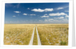 Kalahari Desert Track, Magadikgadi Pans National Park, Botswana by Anonymous