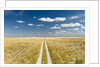 Kalahari Desert Track, Magadikgadi Pans National Park, Botswana by Anonymous