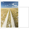 Kalahari Desert Track, Magadikgadi Pans National Park, Botswana by Anonymous