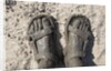 Mud-covered Feet, Chobe National Park, Botswana by Anonymous
