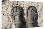 Mud-covered Feet, Chobe National Park, Botswana by Anonymous