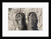 Mud-covered Feet, Chobe National Park, Botswana by Anonymous