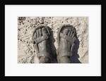 Mud-covered Feet, Chobe National Park, Botswana by Anonymous