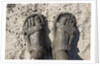 Mud-covered Feet, Chobe National Park, Botswana by Anonymous