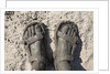 Mud-covered Feet, Chobe National Park, Botswana by Anonymous