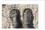 Mud-covered Feet, Chobe National Park, Botswana by Anonymous