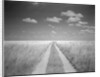 Makgadikgadi Pans National Park, Botswana by Anonymous
