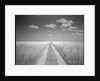 Makgadikgadi Pans National Park, Botswana by Anonymous