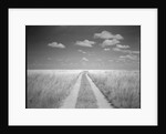 Makgadikgadi Pans National Park, Botswana by Anonymous