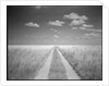 Makgadikgadi Pans National Park, Botswana by Anonymous