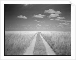 Makgadikgadi Pans National Park, Botswana by Anonymous