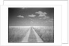 Makgadikgadi Pans National Park, Botswana by Anonymous