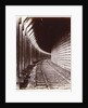 Canadian Pacific Railway by William Notman and Son by Anonymous