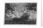 Firework Display on the River Saone, Lyon, for Louis XIII and His Queen by Pierre Faber