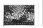 Firework Display on the River Saone, Lyon, for Louis XIII and His Queen by Pierre Faber