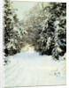 Snow-Laden Trees by Walter Launt Palmer