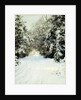 Snow-Laden Trees by Walter Launt Palmer