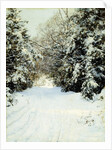 Snow-Laden Trees by Walter Launt Palmer