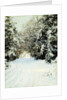Snow-Laden Trees by Walter Launt Palmer