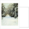 Snow-Laden Trees by Walter Launt Palmer