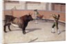 Bullfighting Scene by Anonymous