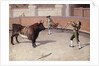 Bullfighting Scene by Anonymous