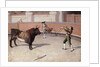 Bullfighting Scene by Anonymous