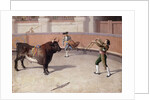 Bullfighting Scene by Anonymous