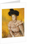 Woman in a Black Hat and a Raspberry Pink Costume by Mary Cassatt
