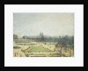 The Tuileries Ponds, Mist by Camille Pissarro
