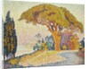Pine Trees at Bertaud, Saint- Tropez (Provence) by Paul Signac