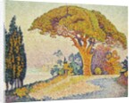 Pine Trees at Bertaud, Saint- Tropez (Provence) by Paul Signac