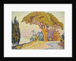 Pine Trees at Bertaud, Saint- Tropez (Provence) by Paul Signac
