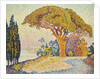 Pine Trees at Bertaud, Saint- Tropez (Provence) by Paul Signac