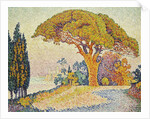 Pine Trees at Bertaud, Saint- Tropez (Provence) by Paul Signac
