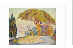 Pine Trees at Bertaud, Saint- Tropez (Provence) by Paul Signac