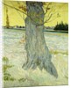 The Old Tree by Vincent Van Gogh