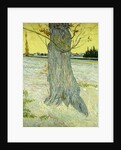 The Old Tree by Vincent Van Gogh
