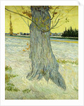 The Old Tree by Vincent Van Gogh