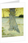 The Old Tree by Vincent Van Gogh